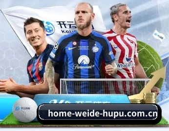 平台简介 - 体育资讯内容服务 - WEIDE SPORTS